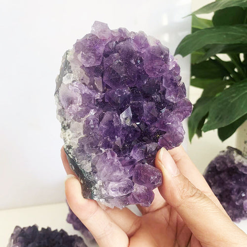 Amethyst Cluster