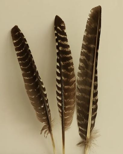 Cedar or Sage Bundles